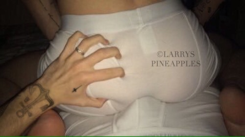 larryspineapple-nsfw:  