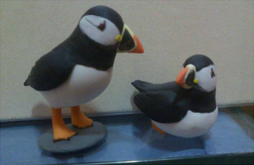 A little commission, two puffins