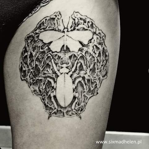 #tatuajes #tattoo #tatuaż #matattoo #dotwork #poznan #sixmadhelen #poznan #wilda #polska #żupańskieg