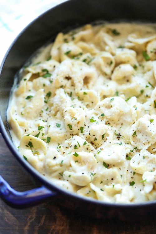 do-not-touch-my-food:Garlic Alfredo Tortellini porn pictures