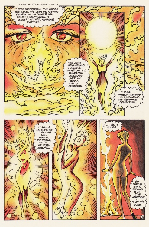 “Then A Burning”Meta-4 #1 (February 1991)Stefan Petrucha, Ian Gibson and Martin ThomasFirst Comics