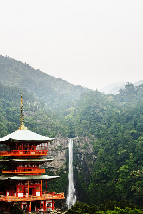 travelthisworld: Nachi Falls ♦ Seigantoji, Wakayama, Japan | by Skye Hohmann