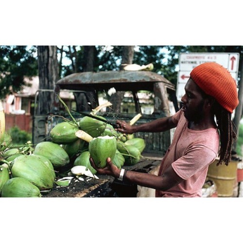 Thirst-quenching #2FroChicks #coconutwater #pure #raw #tasty #coconut #photooftheday