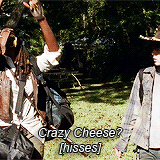 thewalkinggifs:  #a very serious show about a zombie apocalypse vol.2 [vol.1] 