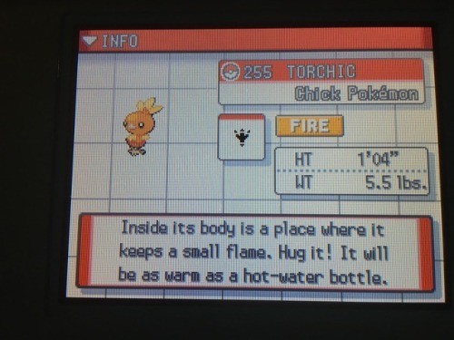 patch444: pokemon-diamond-version: reblog if you would hug torchic Like if you would place torchic o