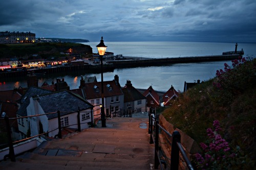 146/365199 steps, Whitby, North Yorkshire, England.