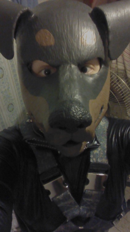 ipecacandcivetoil:  LOOK AT THE STATE MY ROOM IS IN, GOOD LORD LOVE A MOTHER DUCK was being Dog for someone tonight, so i thought, why not pup selfies? it isn’t often i’m in full gear, and i’d never worn my woofy tail through the zipper on my body