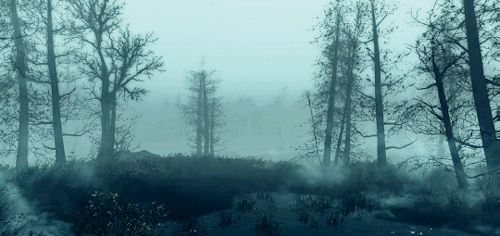 zaeedsmassani:The Fog of Far Harbor