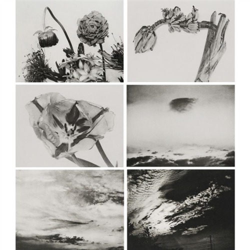 Porn photo zzzze:  Nobuyoshi Araki, Set of 6: Ku Ka,1997