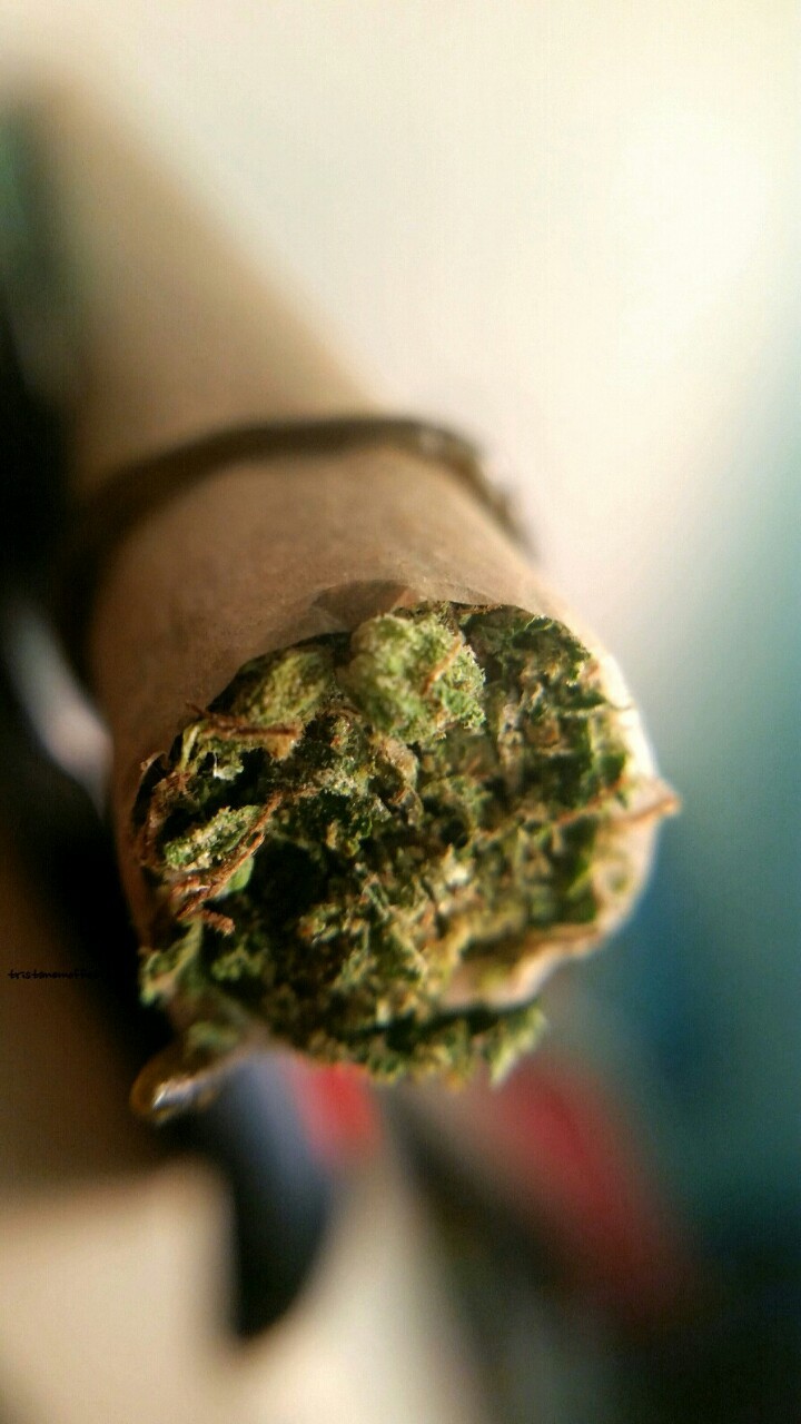 tristanemoffet:  Twax Spliff