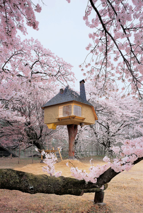 aikotecture:Terunobu Fujimori &amp; Nobumichi Oshima, Teahouse Tetsu, 2006. Photo: Masuda Akihisa