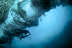 youthtea:  Chris Staley (dad) underwater