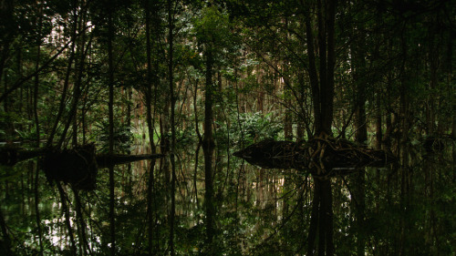 capturedphotos:Shingle Creek, Florida.The Orlando isn’t all about theme parks and such.Photogr