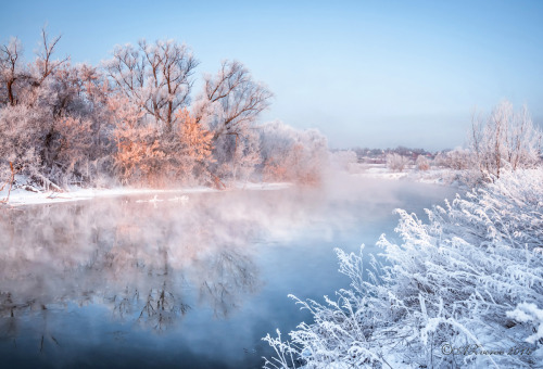 blissfully-winter: expressions-of-nature: Winter Morning : Anatoly Zverev all year round winter/xmas