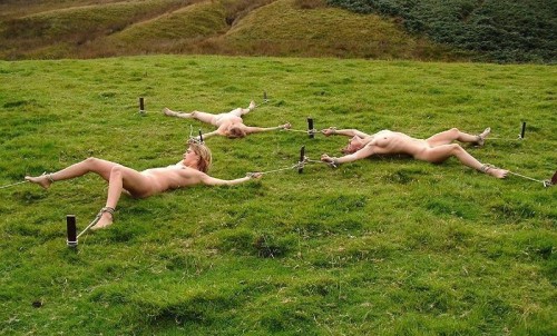 MAITREBDSM:  Voila les esclaves soumises comme je les aiment offerte en publique !  http://maitrebdsm.tumblr.com Si vous aimez Rejoignez-moi et laissez-moi vos commentaires…  AU PLAISIR DE VOUS LIRE !