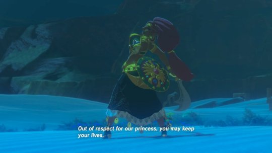 maldreathezora: I had to look up if lightning does anything to a person in midair. Yes. Yes it does. THAT YIGA IS DEAD, WOMAN 