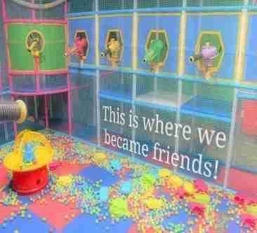 This Is Where We Became Friends!