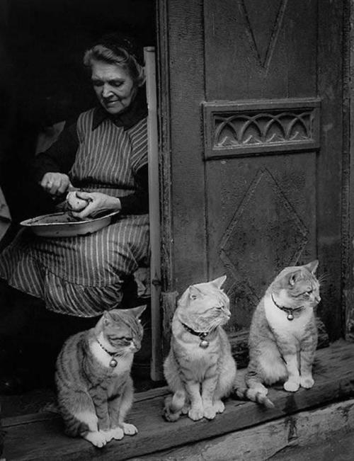 Lübeck, 1950 by Toni Schneiders