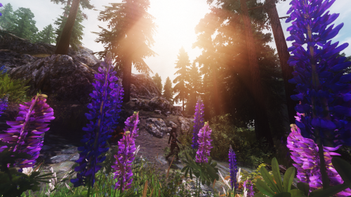 shinxmarry:WOOP WOOP MORE SKYRIM SCREENIES I probably spend more time taking screenshots than actual