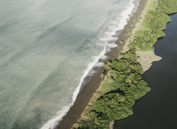 salvalopez:  Corcovado, Costa Rica Jan. 2016 