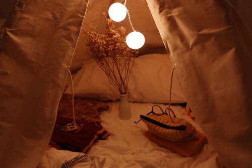 frecklebub:honeygal:theres a tent in my room !this is just too cozy!