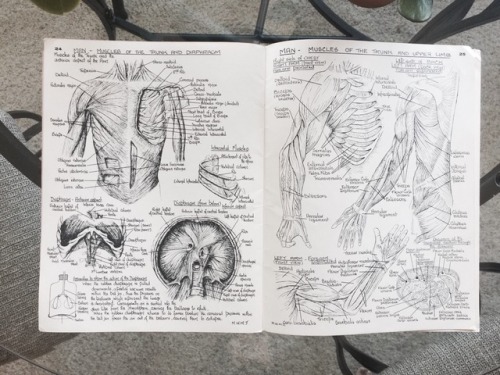 cancerbiophd: an anatomy book from the 1960′s my mom used during nursing school. i love the ha