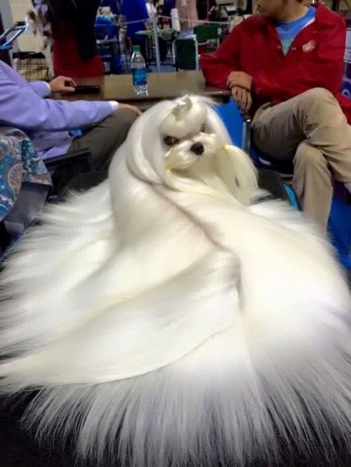 egobirth:me leaving the salon me 3 hours later the same night