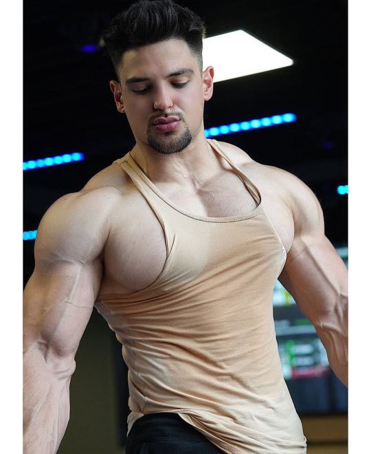 #heavy pecs on Tumblr