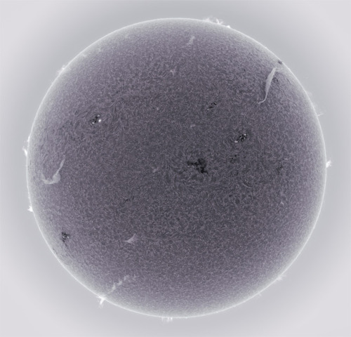 the-star-stuff:  Alan Friedman’s Astonishing HD Photographs of the Sun Shot from his Own Backy