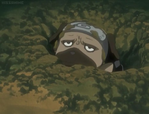 I Absolutely Love The Fact That Kakashi Doesn't Care About His Image In Front Of The Whole World, He'd