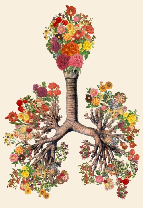 lesstalkmoreillustration: Just Breathe Anatomical Lungs Collage Art Print By Bedelgeuse *More Thing