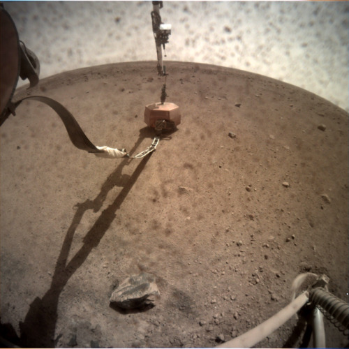 InSight: Sol 24&rsquo;s small batch of Mars photos. And now that the US government has gone into