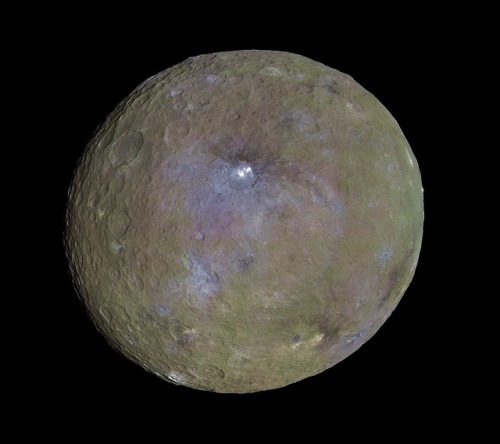 Porn Pics wonders-of-the-cosmos:  Ceres is the largest