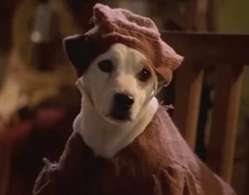 ohnoanotherputz: I randomly thought of Wishbone the awesome dog from PBS back in the day. Naturally 