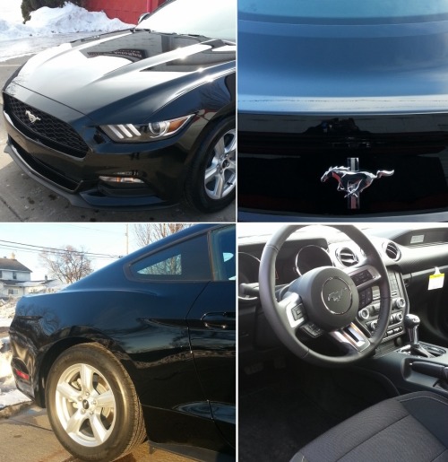 2015 Ford Mustang in Detroit, MI ($396/mo.) available for lease transfer &gt;j.mp/15fmMI3