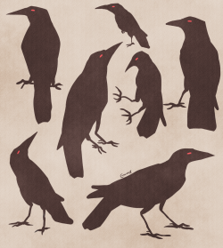 corrideox-arts:Some Crows :)