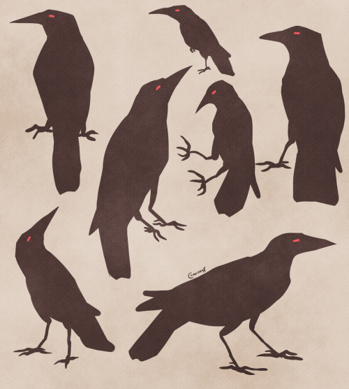 terpsikeraunos:corrideox-arts:Some Crows :)@lanteanwraiths