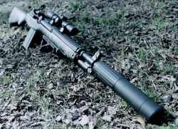 tacticallurk:  Suppressed M1A 