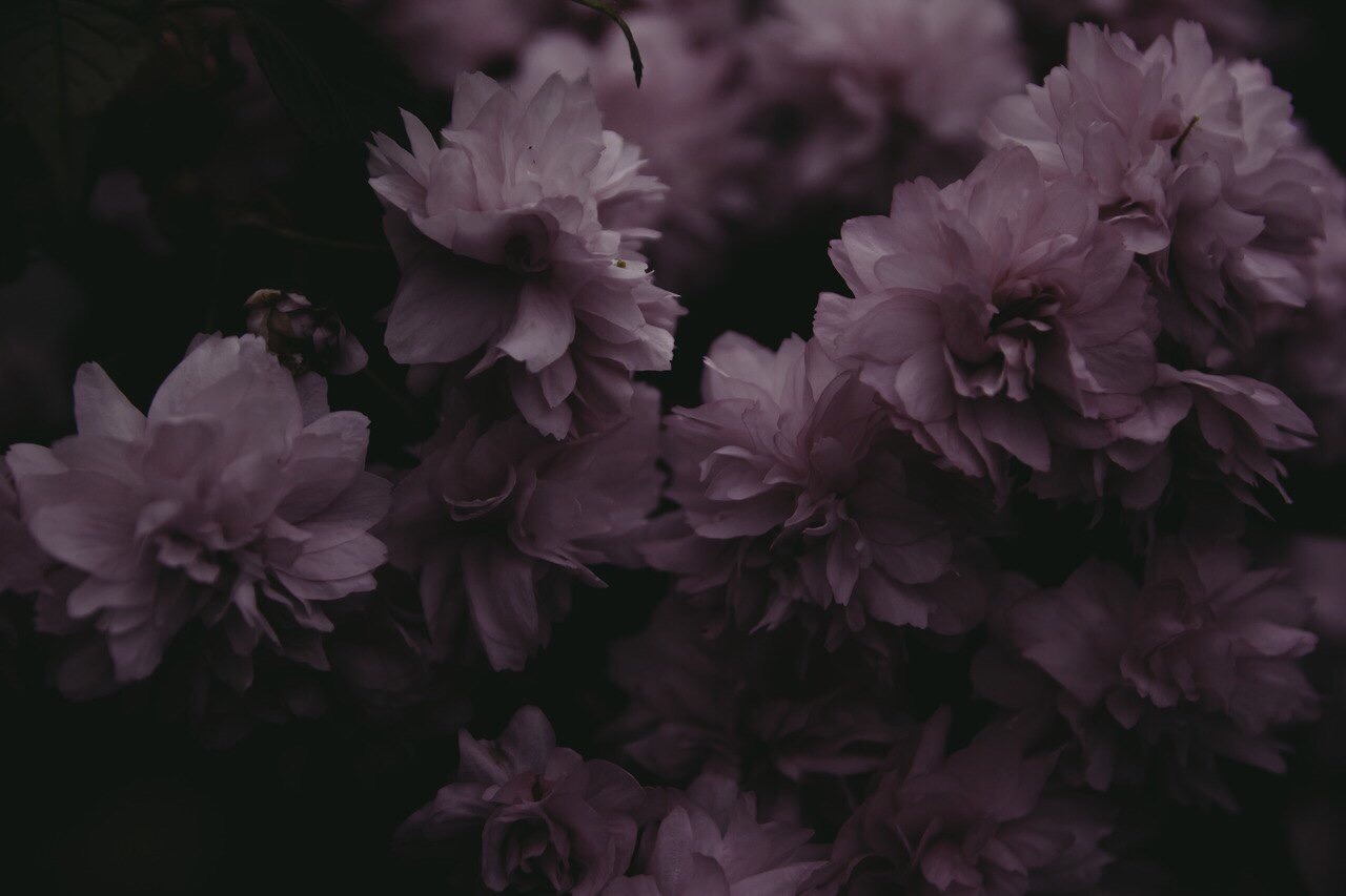 rinaallek:Sad today