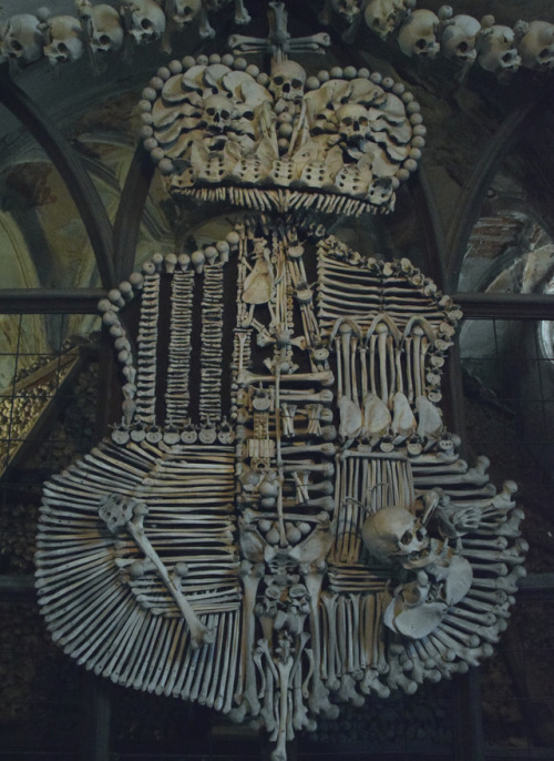 fallbabylon:Bone coat of arms- Sedlec Ossuary, Kutná Hora, Czech Republic 