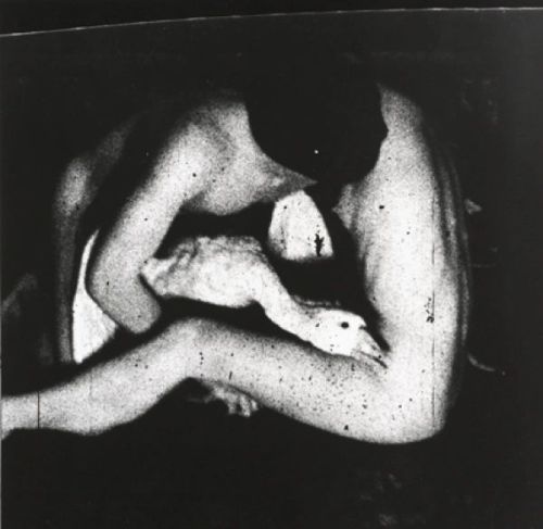 asalvadorsala:  Untitled (Description: two nudes embracing goose; “Sex” series), no date.  From the little know and underrated #BrianWeilhttps://www.instagram.com/p/CdLX0cWt1MB/?igshid=NGJjMDIxMWI=