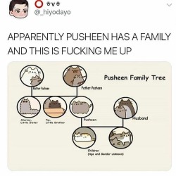 Porn grimauxiliatrixofficial:lilkearnsie:theshockinglyeloquentdog:gluten-free-pussy:teathattast:WHATPusheen photos