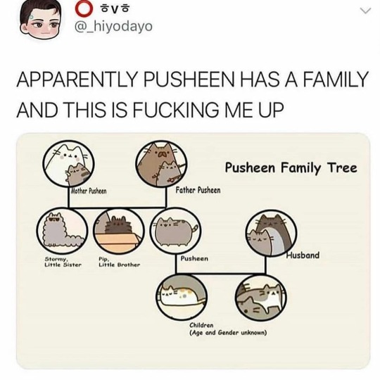 XXX grimauxiliatrixofficial:lilkearnsie:theshockinglyeloquentdog:gluten-free-pussy:teathattast:WHATPusheen photo