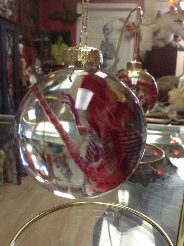 These diaphonized mouse specimen are handcrafted by Greg Bowser of Pandora’s Box using