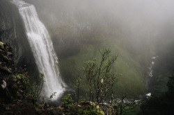 kovthephotographer:  Salt Creek Falls, Oregon
