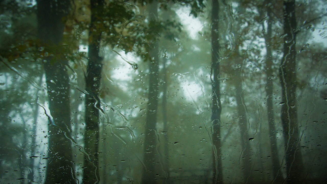 expressions-of-nature:  Raindrops at Jeffress Park, North Carolina by Lindley Ashline