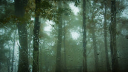 Expressions-Of-Nature:  Raindrops At Jeffress Park, North Carolina By Lindley Ashline