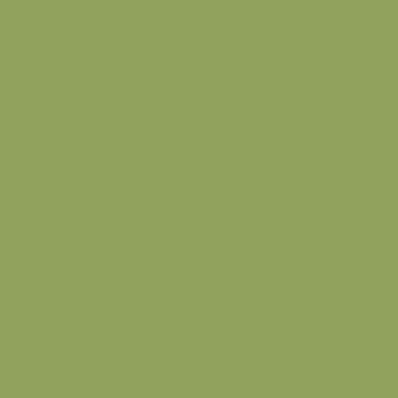 prettycolors:  #91a25d