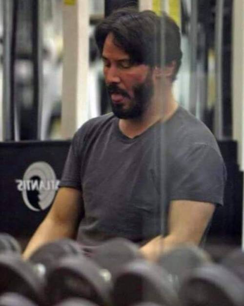 holy FUCK I’m bad at posting been up to way too much keanu business…