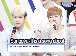 huizz:  Hoya translating for Sunggyu 